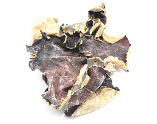 Picture of BLACK FUNGUS (100G) L-SIZE
