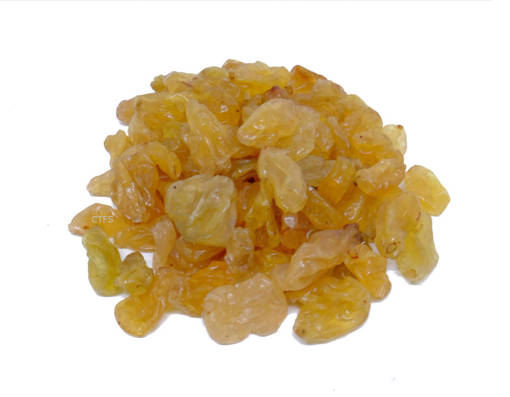 Picture of RAISIN GOLDEN (100G) G1