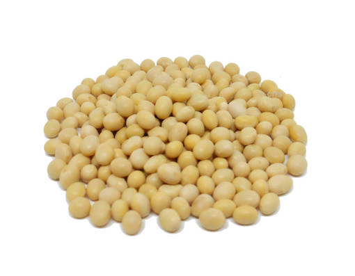 Picture of SOYA BEAN (1KG/PKT)DRIED