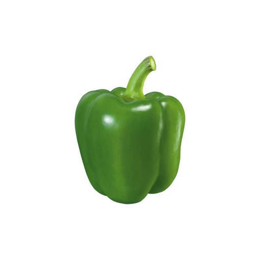 Picture of VEG-CAPSICUM GREEN(500G)