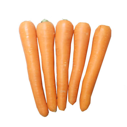 Picture of VEG-CARROT (500G)AUSTRALIA