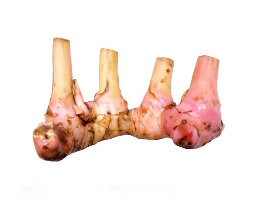 Picture of VEG-GENGLANGA FRESH(100G)