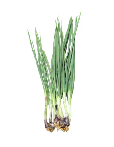 Picture of VEG-ONION SPRING (100G)