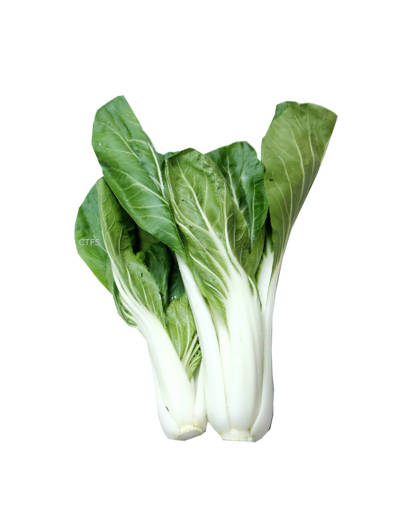 Picture of VEG-PEK CHYE (500G)
