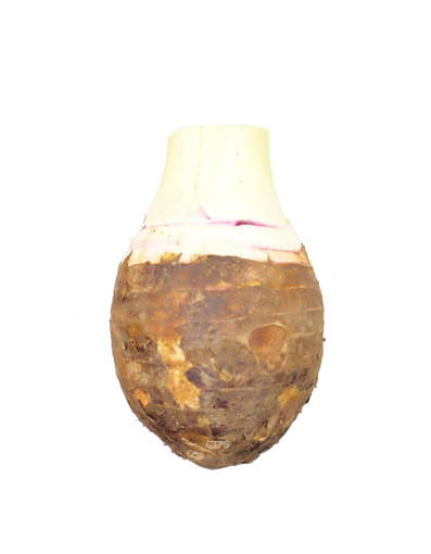 Picture of VEG-YAM  (1KG) FRESH