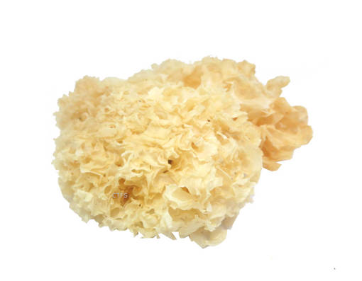 Picture of WHITE FUNGUS (100g)ORIGINAL