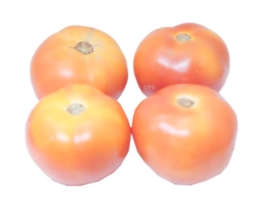 Picture of VEG-TOMATO (500G) MALAYSIA
