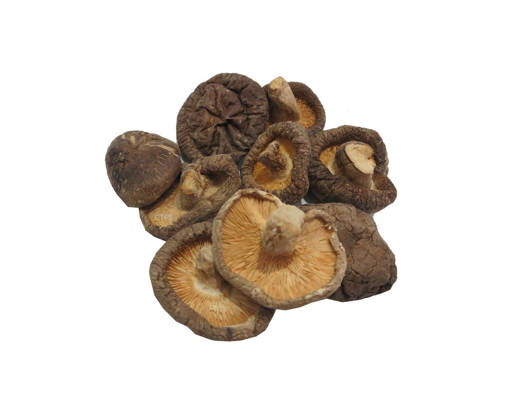 Picture of DR. MUSHROOM (500GM) M