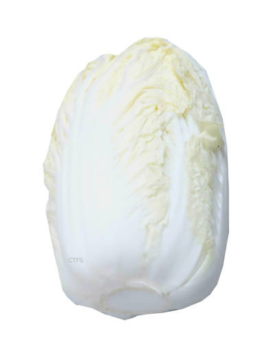 Picture of VEG-TIENTSIN CABBAGE (KG) BIG CABBAGE (500G)