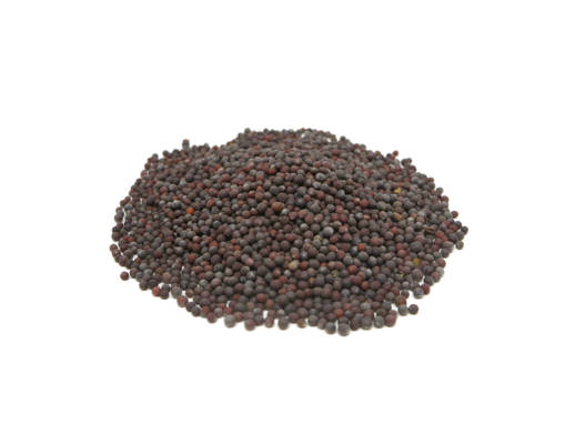 Picture of MUSTARD SEED (100GM) BIJI SAWI