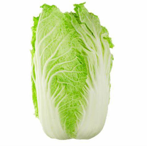 Picture of LONG CABBAGE  (PER KG)