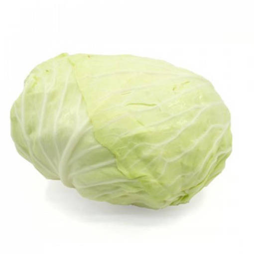 EZ Mart Singapore Online market portal. ROUND CABBAGE (PER KG)