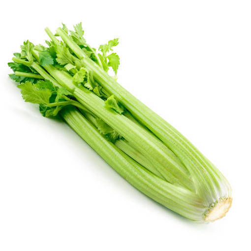 Picture of CELERY TABLE  (PER KG)