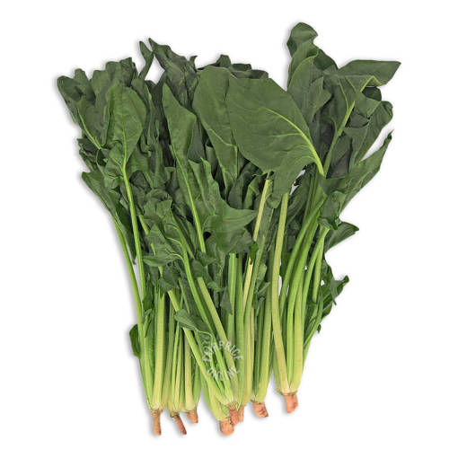Picture of CHINESE SPINACH  (PER KG)
