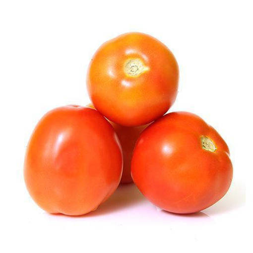Picture of TOMATO (PER KG)