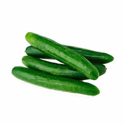 Picture of JAPANESE CUCUMBER  (PER KG)
