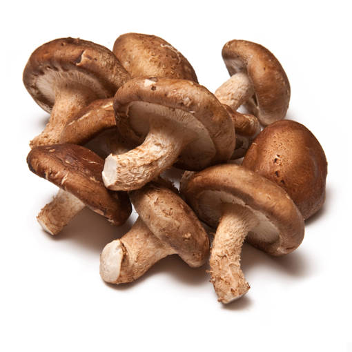 Picture of SHIITAKE MUSHROOM  (PER KG)