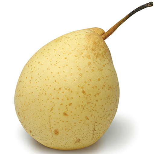 Picture of YA LI (PER PIECE)