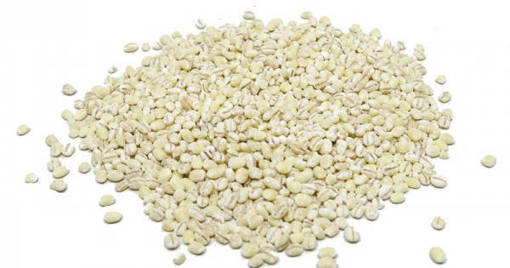 Picture of HOLLAND BARLEY (1KG/PKT)