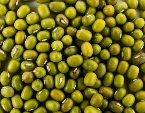 Picture of GREEN BEAN (1KG/PKT)