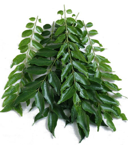 Picture of PM - CURRY LEAF (50GM PER PACK)