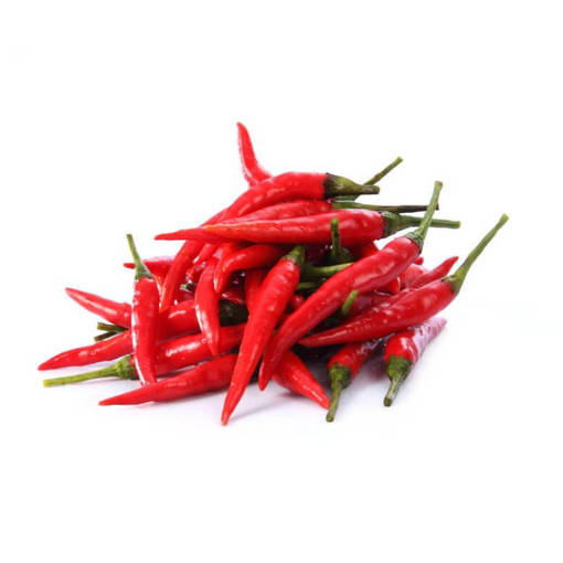 Picture of PM - FRESH CHILLI PADI (100GM PER PKT)