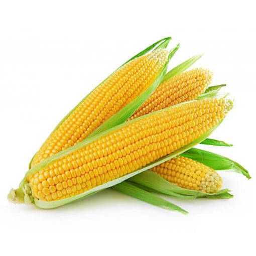 Picture of PM - FRESH SWEET CORN (2PCS PER PKT)