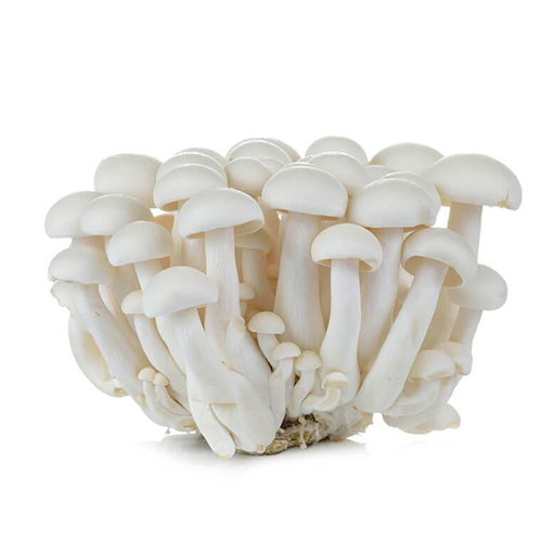 Picture of PM - WHITE SHIMEJI MUSHROOM  (180G PER PKT)