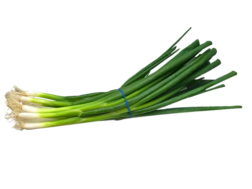 Picture of PM - SPRING ONION (100GM PER PKT)