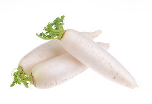 Picture of PM - WHITE RADDISH *LOBAK PUTEH (MIN ORDER 500GM)