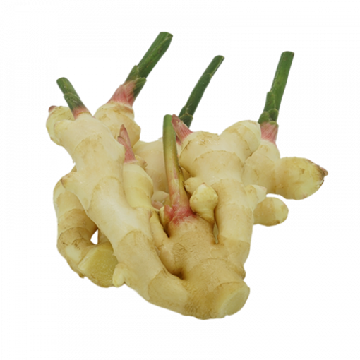 Picture of PM - YOUNG GINGER (MIN ORDER 500GM)