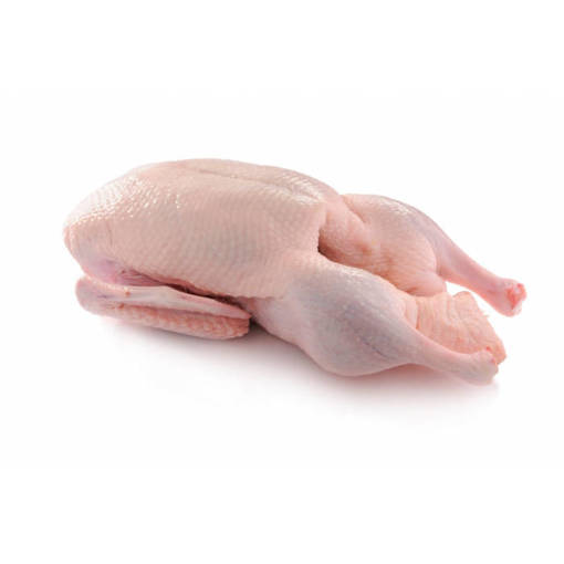 Picture of HH- FRESH DUCK (ESTIMATED 3KG per BIRD)