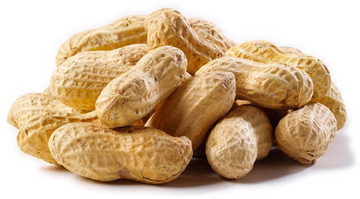 Picture of GB -D- DRIED PEANUT WHOLE (1 KG PER PKT)