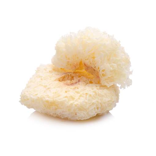 Picture of GB -D- WHITE FUNGUS (1KG PER PACK)
