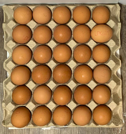 Picture of GB -E- LOCAL N & N FRESH BROWN EGG 60GM (MIN 30 PCS X 1 TRAY)