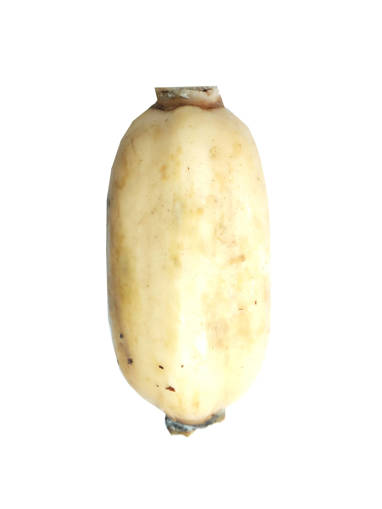 Picture of VEG-LOTUS ROOT (500G)